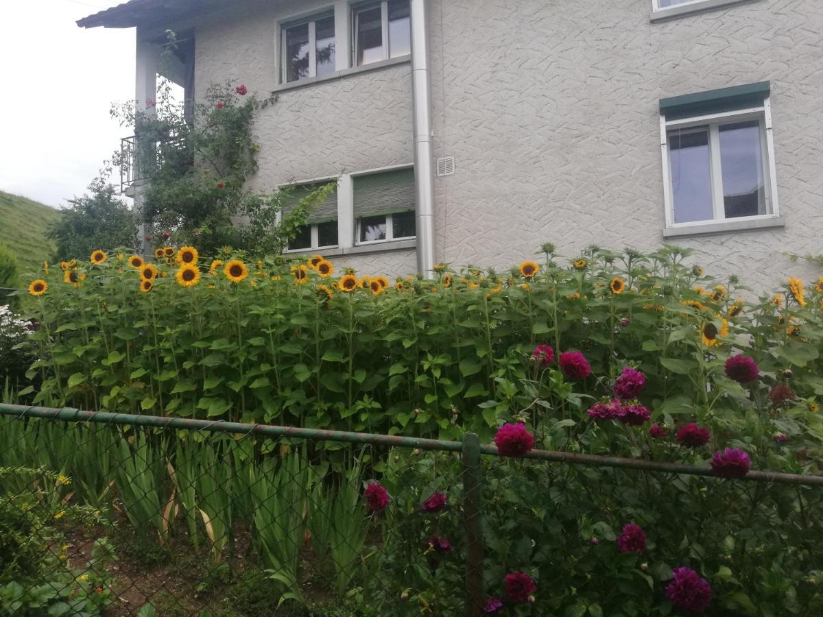 Billenberghof Apartment *